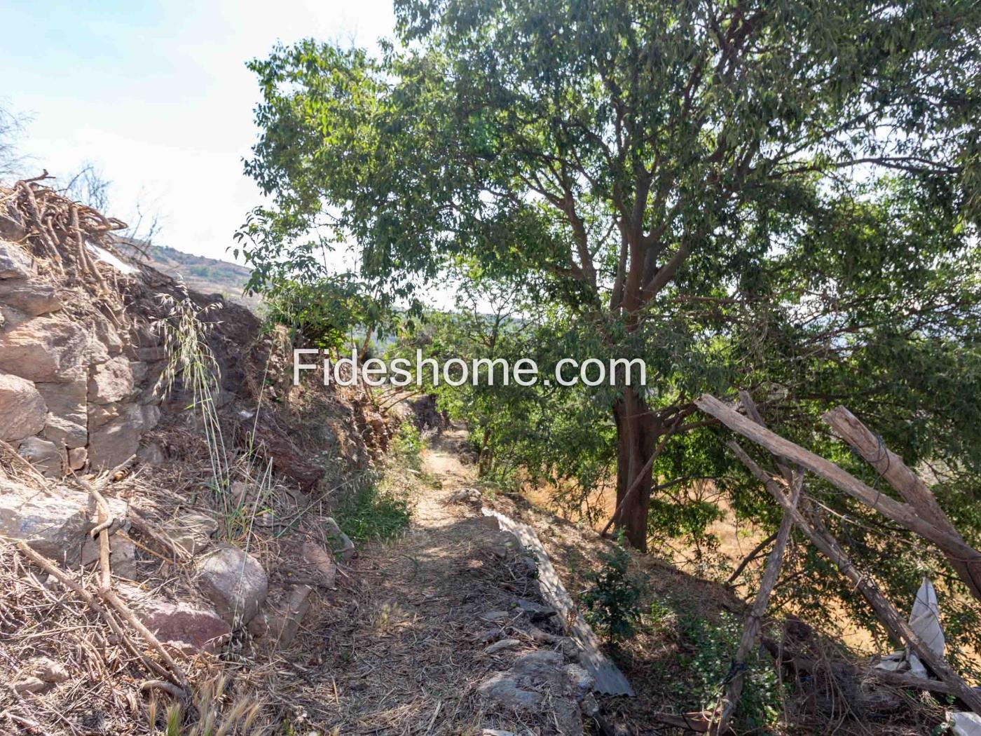 Cortijo met geïrrigeerd land en uitzicht in Lanjar .en Lanjarón