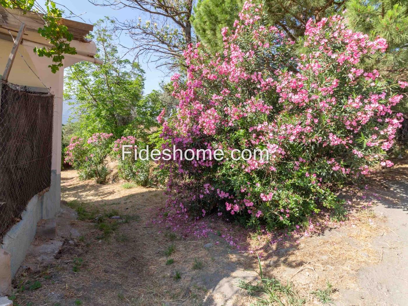 Cortijo met geïrrigeerd land en uitzicht in Lanjar .en Lanjarón