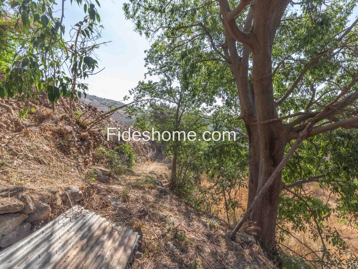 Cortijo met geïrrigeerd land en uitzicht in Lanjar .en Lanjarón