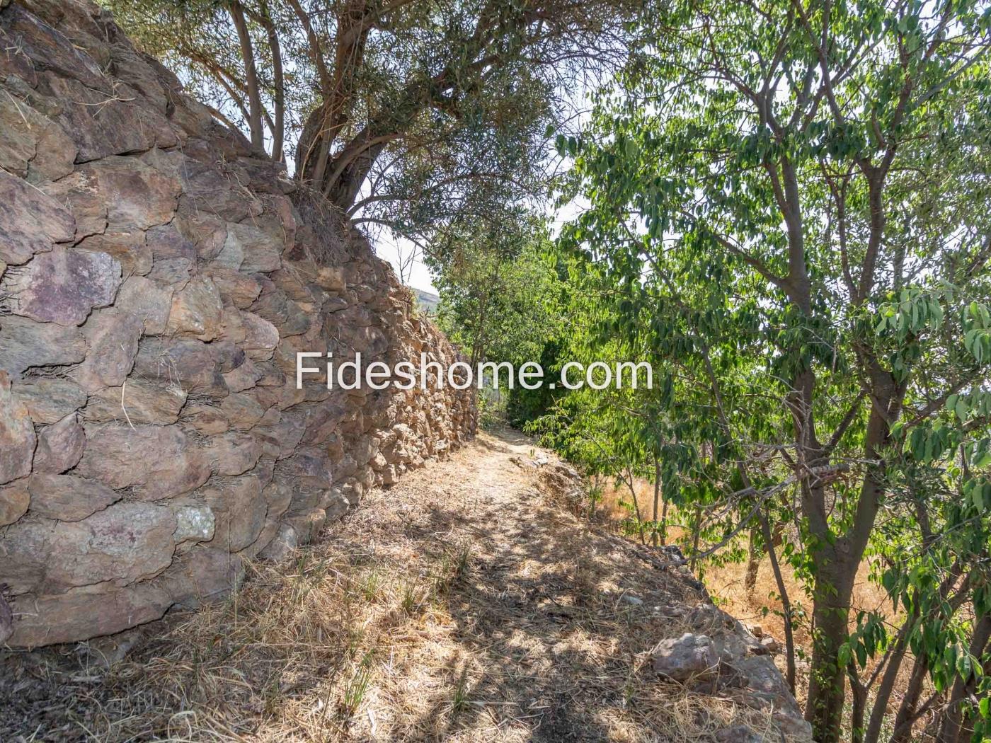 Cortijo avec domaine irrigué et vues à Lanjarón à Lanjarón