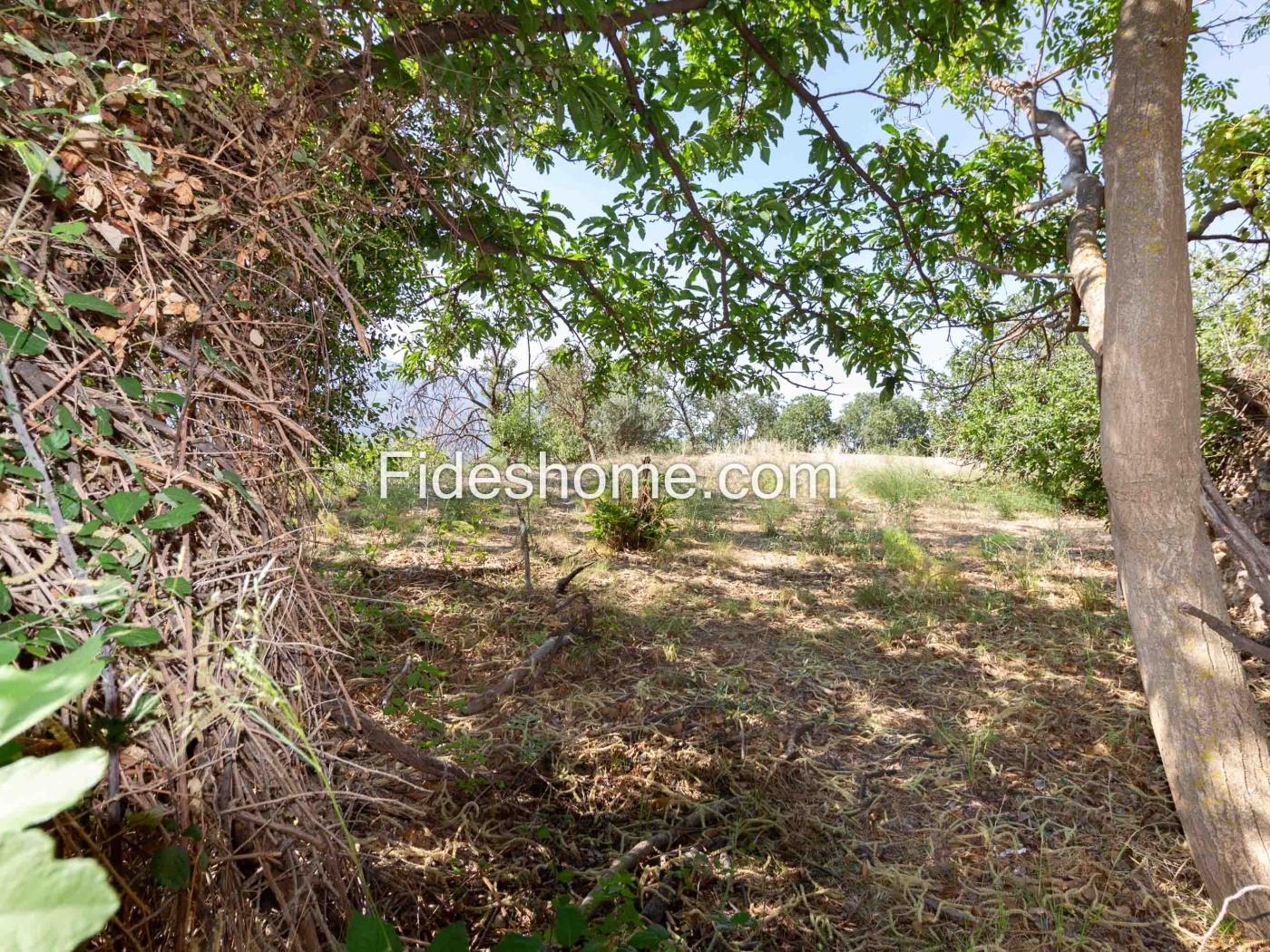 Cortijo met geïrrigeerd land en uitzicht in Lanjar .en Lanjarón