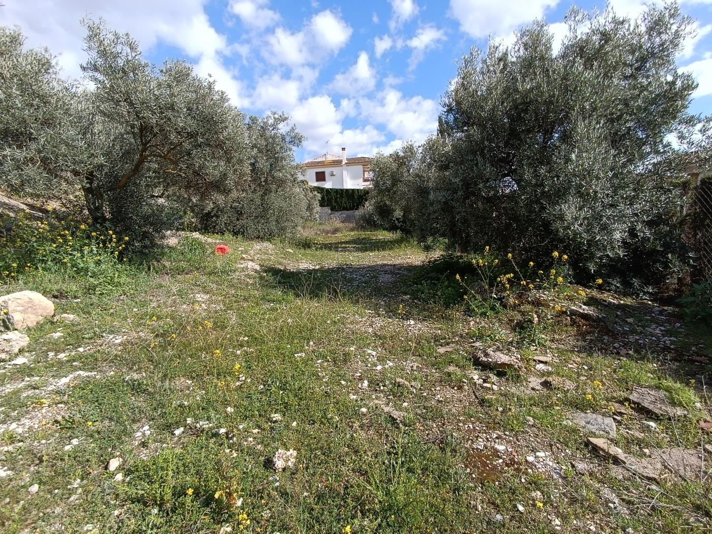 Urban Plot of 440 m² with magnificent views in Dúrcal in Dúrcal