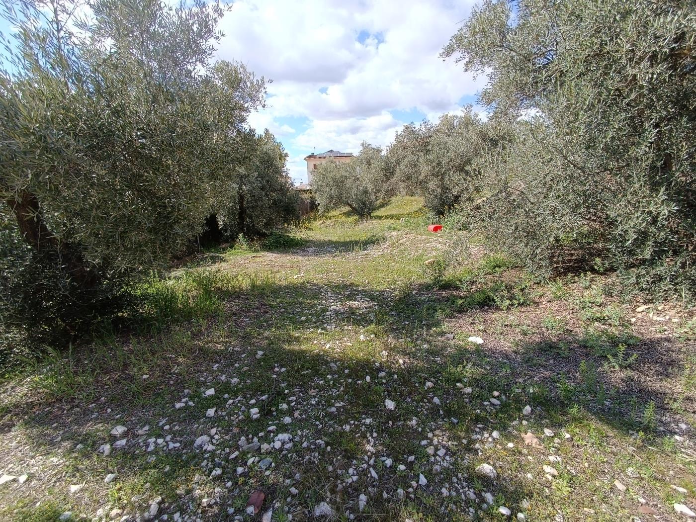 Urban Plot of 440 m² with magnificent views in Dúrcal in Dúrcal