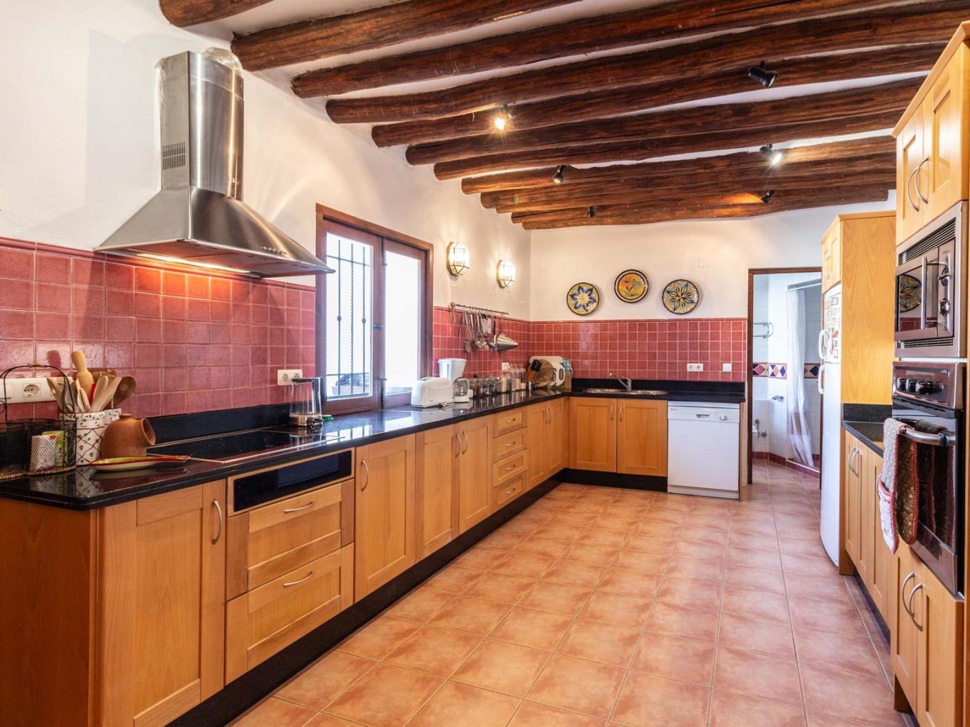 Beautiful rural house with swimming pool and barbecue in Cozvíjar