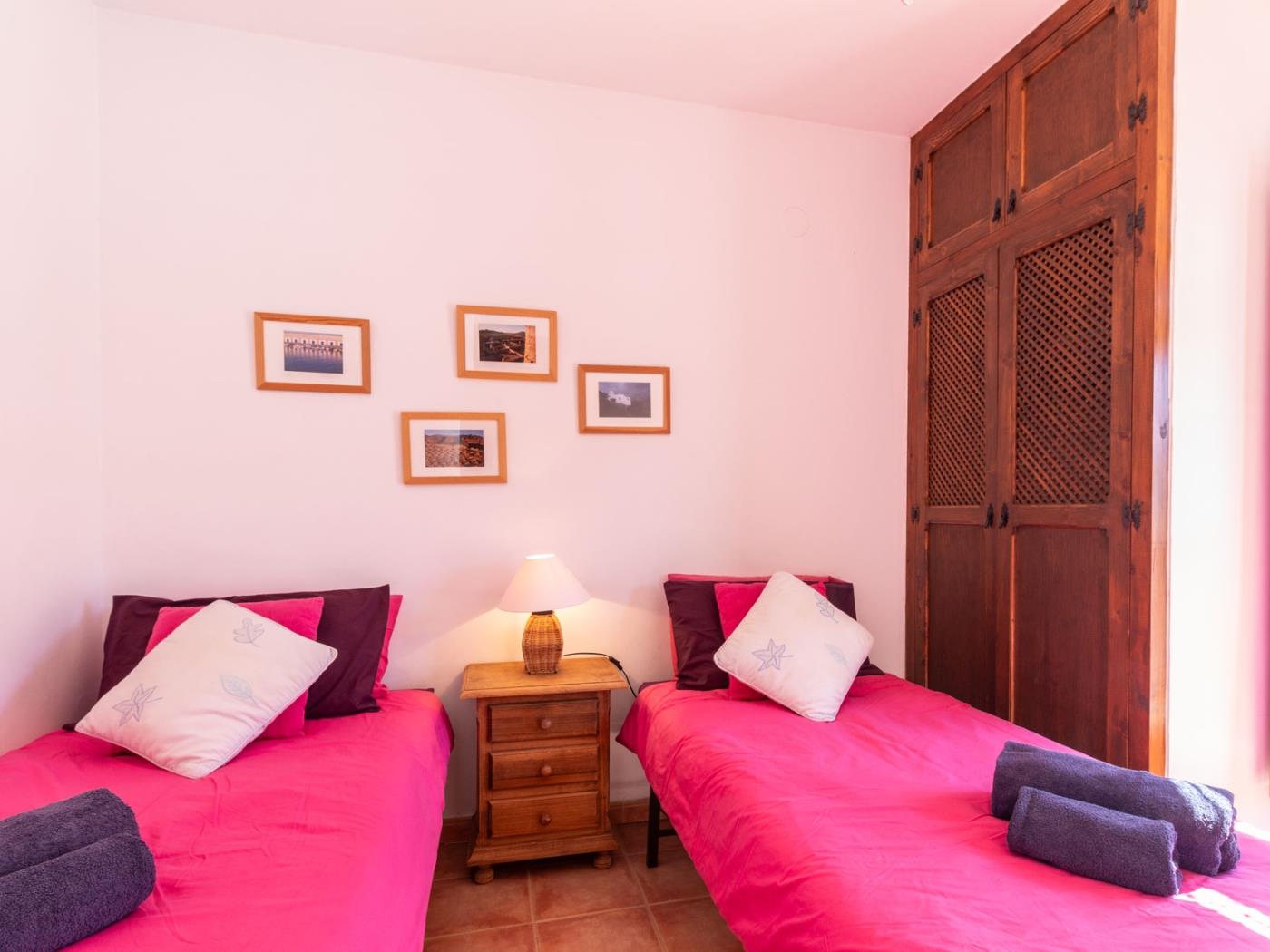 Beautiful rural house with swimming pool and barbecue in Cozvíjar