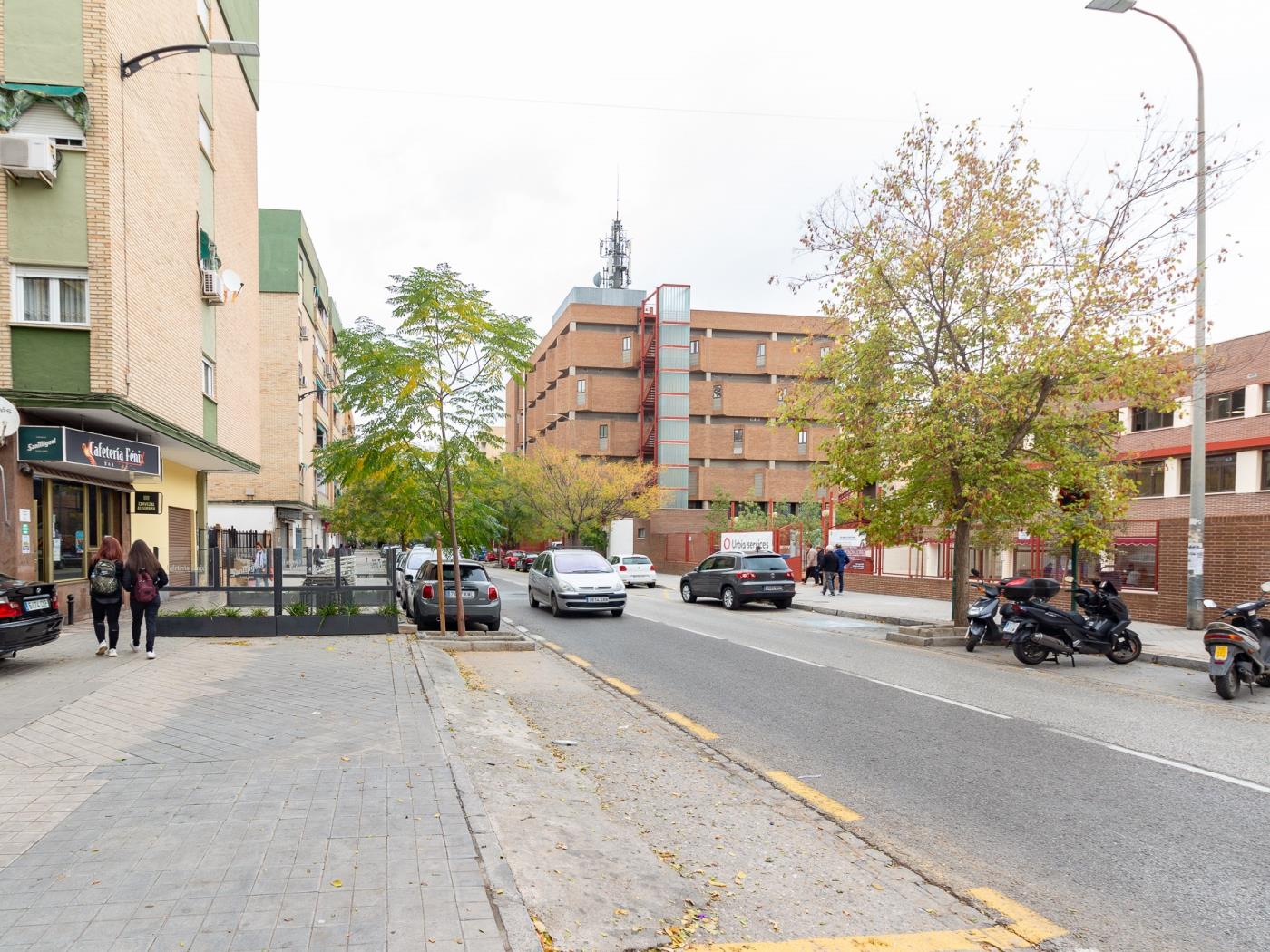 Local commercial de 44 m² prêt à emménager, situé rue du Peintre à Granada