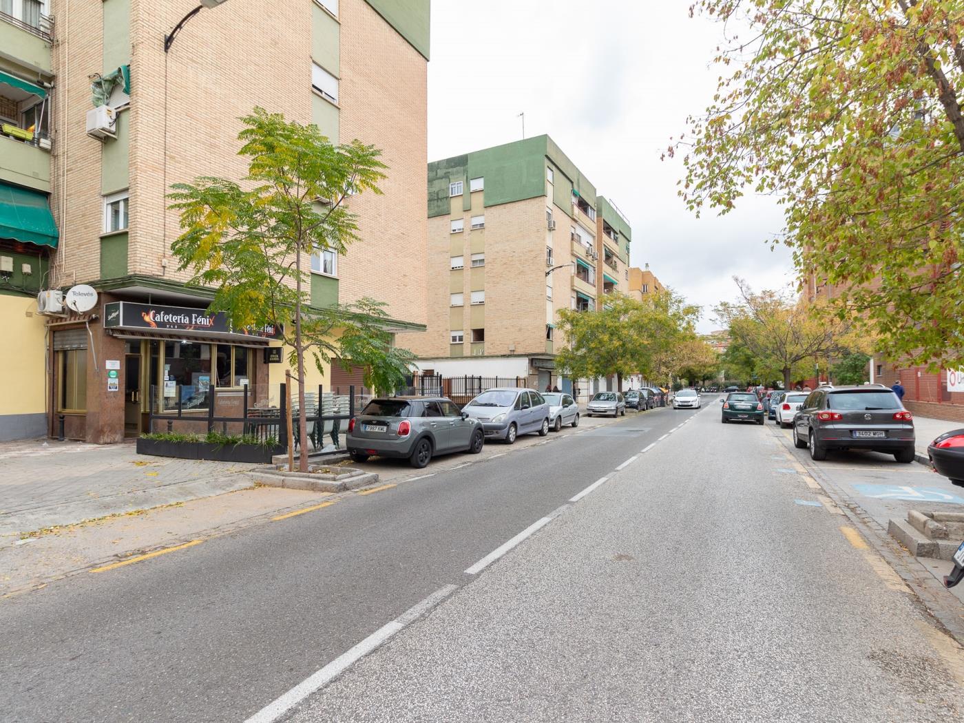 Local commercial de 44 m² prêt à emménager, situé rue du Peintre à Granada