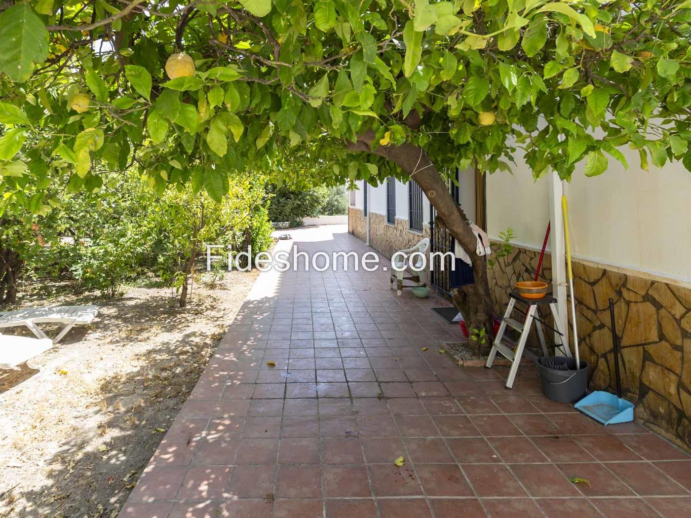 Charming house in Pinos del Valle in Pinos del valle